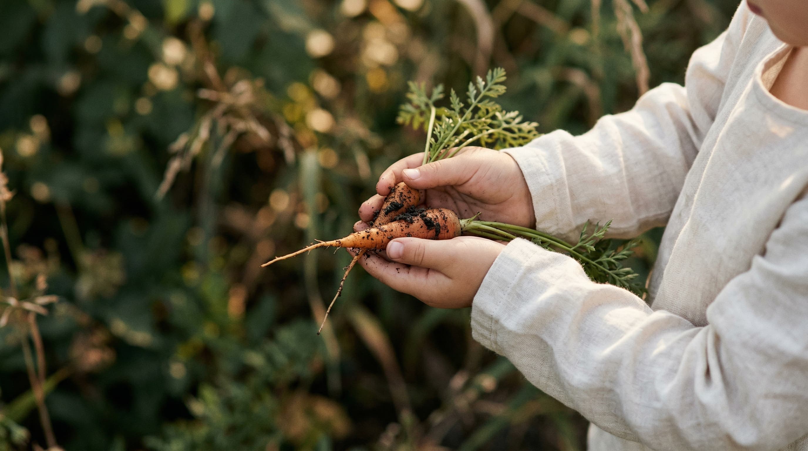 Building a healthy microbiome through diet and lifestyle in childhood