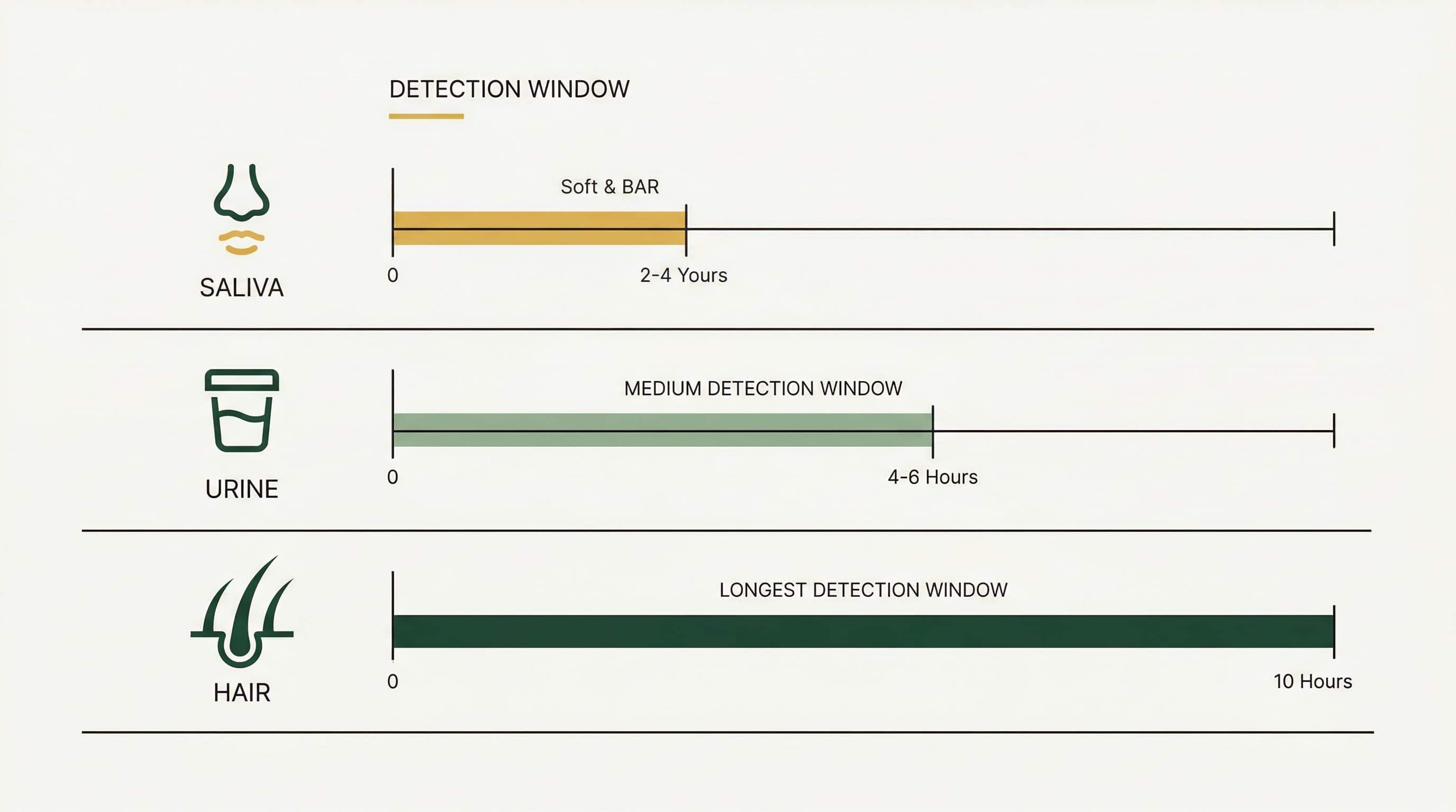 Infographic comparing detection windows for different drug test types: urine, hair, saliva
